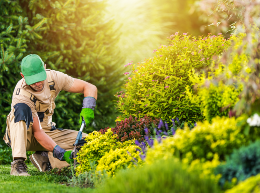 Mantenimiento de jardines