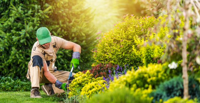 Mantenimiento de jardines