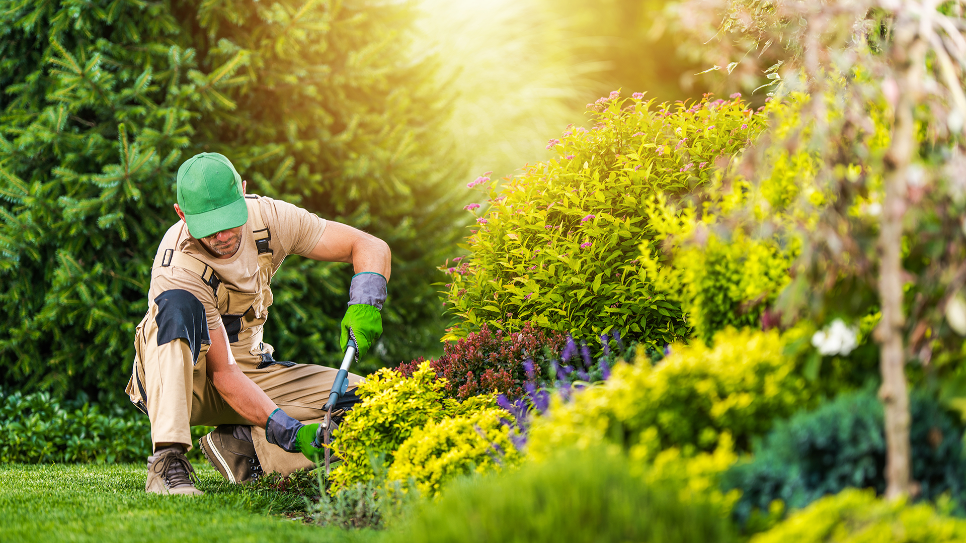 Mantenimiento de jardines